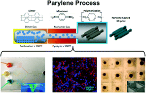 Graphical abstract: Rapid prototyping of cell culture microdevices using parylene-coated 3D prints