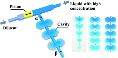 Graphical abstract: Generation of flow and droplets with an ultra-long-range linear concentration gradient