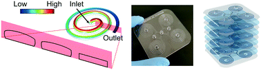 Graphical abstract: Engineering a deformation-free plastic spiral inertial microfluidic system for CHO cell clarification in biomanufacturing