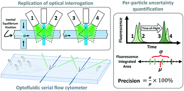 Graphical abstract: Serial flow cytometry in an inertial focusing optofluidic microchip for direct assessment of measurement variations