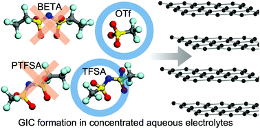 Graphical abstract: Operando analysis of graphite intercalation compounds with fluoride-containing polyatomic anions in aqueous solutions