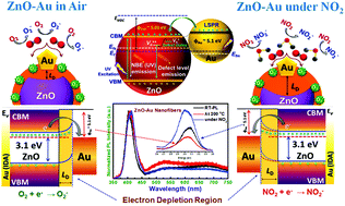 Graphical abstract: MEMS-compatible, gold nanoisland anchored 1D aligned ZnO heterojunction nanofibers: unveiling the NO2 sensing mechanism with operando photoluminescence studies