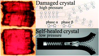Graphical abstract: Self-healing ferroelastic metal–organic framework sensing guests, pressure and chemical environment