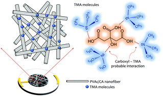 Graphical abstract: Room-temperature ppb-level trimethylamine gas sensors functionalized with citric acid-doped polyvinyl acetate nanofibrous mats