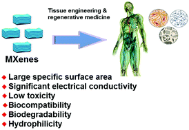 Graphical abstract: MXenes and MXene-based materials for tissue engineering and regenerative medicine: recent advances
