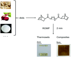Graphical abstract: Rapid synthesis of diol homolog-based thermosets with tunable properties via ring-opening metathesis polymerization