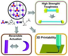 Graphical abstract: 3D and 4D printable dual cross-linked polymers with high strength and humidity-triggered reversible actuation