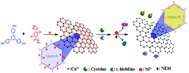 Graphical abstract: A water-soluble copper-immobilized covalent organic framework functioning as an “OFF–ON” fluorescent sensor for amino acids