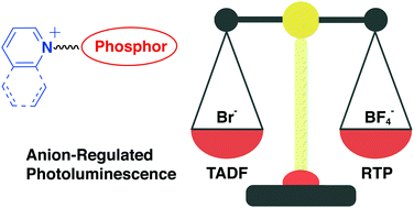 Graphical abstract: Switching between TADF and RTP: anion-regulated photoluminescence in organic salts and co-crystals