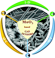 Graphical abstract: Advances in the designs and mechanisms of MoO3 nanostructures for gas sensors: a holistic review