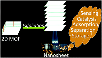 Graphical abstract: Throwing light on the current developments of two-dimensional metal–organic framework nanosheets (2D MONs)