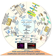 Graphical abstract: Formulation of PLGA nano-carriers: specialized modification for cancer therapeutic applications