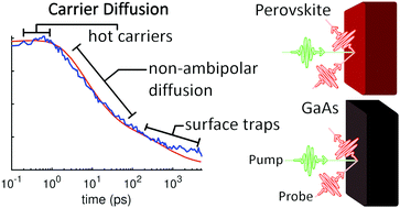Graphical abstract: Fast non-ambipolar diffusion of charge carriers and the impact of traps and hot carriers on it in CsMAFA perovskite and GaAs