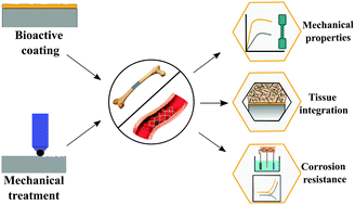 Graphical abstract: Surface engineering of biodegradable implants: emerging trends in bioactive ceramic coatings and mechanical treatments