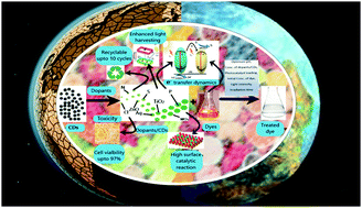 Graphical abstract: Review on green carbon dot-based materials for the photocatalytic degradation of dyes: fundamentals and future perspective