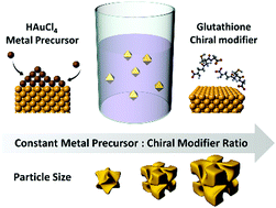 Graphical abstract: Controlling the size and circular dichroism of chiral gold helicoids