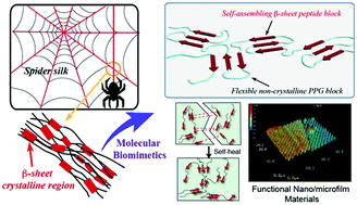 Graphical abstract: Spider silk-inspired peptide multiblock hybrid copolymers for self-healable thin film materials