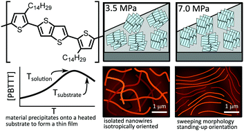 Graphical abstract: Self-assembly of PBTTT–C14 thin films in supercritical fluids