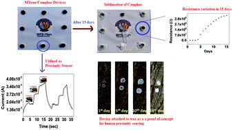 Graphical abstract: Sublimation of MXene/camphor device: a study on self – destructive dry transiency