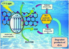 Graphical abstract: Green synthesis of a CuO/rGO nanocomposite using a Terminalia arjuna bark extract and its catalytic activity for the purification of water