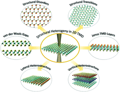 Graphical abstract: Atomic-scale characterization of structural heterogeny in 2D TMD layers
