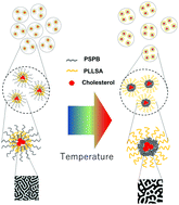 Graphical abstract: Development and structural analysis of dual-thermo-responsive self-assembled zwitterionic micelles
