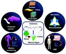Graphical abstract: Cellulose based flexible and wearable sensors for health monitoring
