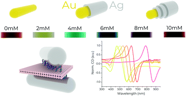 Graphical abstract: Visible wavelength spectral tuning of absorption and circular dichroism of DNA-assembled Au/Ag core–shell nanorod assemblies