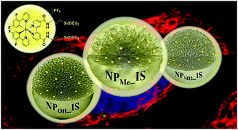 Graphical abstract: Highly emissive hybrid mesoporous organometallo-silica nanoparticles for bioimaging