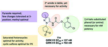 Graphical abstract: Discovery, synthesis and biological characterization of a series of N-(1-(1,1-dioxidotetrahydrothiophen-3-yl)-3-methyl-1H-pyrazol-5-yl)acetamide ethers as novel GIRK1/2 potassium channel activators