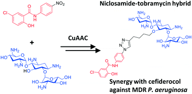 Graphical abstract: A niclosamide–tobramycin hybrid adjuvant potentiates cefiderocol against P. aeruginosa
