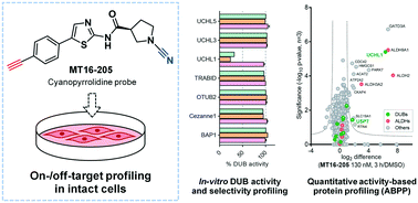 Graphical abstract: Activity-based protein profiling reveals deubiquitinase and aldehyde dehydrogenase targets of a cyanopyrrolidine probe