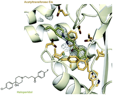 Graphical abstract: Structure-based design of haloperidol analogues as inhibitors of acetyltransferase Eis from Mycobacterium tuberculosis to overcome kanamycin resistance