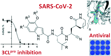 Graphical abstract: Peptidomimetic nitrile warheads as SARS-CoV-2 3CL protease inhibitors
