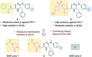 Graphical abstract: Potency and metabolic stability: a molecular hybrid case in the design of novel PF74-like small molecules targeting HIV-1 capsid protein