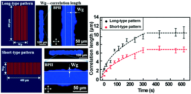 Graphical abstract: Nucleation and growth of blue phase liquid crystals on chemically-patterned surfaces: a surface anchoring assisted blue phase correlation length