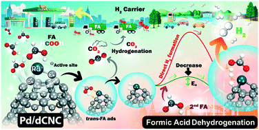 Graphical abstract: Formic acid dehydrogenation over single atom Pd-deposited carbon nanocones for hydrogen production: a mechanistic DFT study