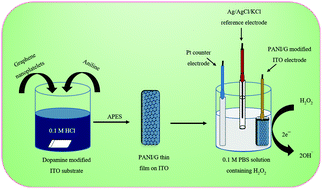 Graphical abstract: A facile synthesis of novel polyaniline/graphene nanocomposite thin films for enzyme-free electrochemical sensing of hydrogen peroxide