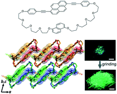 Graphical abstract: Crystal structure of a 1,6-bis(phenylethynyl)pyrene-based cyclophane that exhibits mechanochromic luminescence