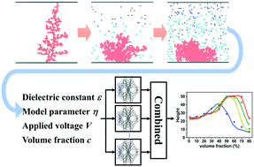 Graphical abstract: Inhibition of lithium dendrite growth with highly concentrated ions: cellular automaton simulation and surrogate model with ensemble neural networks