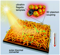 Graphical abstract: 3D Bacterial flagella as both synthetic biotemplates and ultrathin spacers for enhanced inter-particle coupling and solar energy harvesting