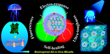 Graphical abstract: Fluorescent, electrically responsive and ultratough self-healing hydrogels via bioinspired all-in-one hierarchical micelles
