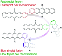 Graphical abstract: Singlet fission and triplet pair recombination in bipentacenes with a twist