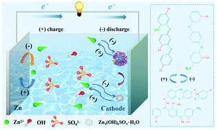 Graphical abstract: Tailoring double-layer aromatic polymers with multi-active sites towards high performance aqueous Zn–organic batteries