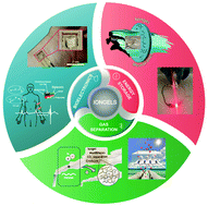 Graphical abstract: Emerging iongel materials towards applications in energy and bioelectronics