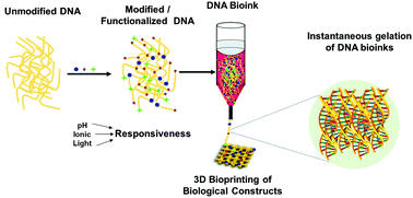 Graphical abstract: Designer DNA biomolecules as a defined biomaterial for 3D bioprinting applications