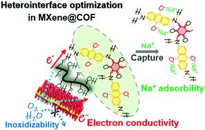 Graphical abstract: Heterointerface optimization in a covalent organic framework-on-MXene for high-performance capacitive deionization of oxygenated saline water