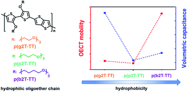Graphical abstract: Propylene and butylene glycol: new alternatives to ethylene glycol in conjugated polymers for bioelectronic applications