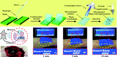 Graphical abstract: Multifunctionally wearable monitoring with gelatin hydrogel electronics of liquid metals