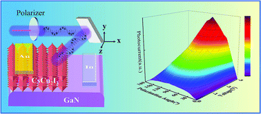 Graphical abstract: A high-performance polarization-sensitive and stable self-powered UV photodetector based on a dendritic crystal lead-free metal-halide CsCu2I3/GaN heterostructure